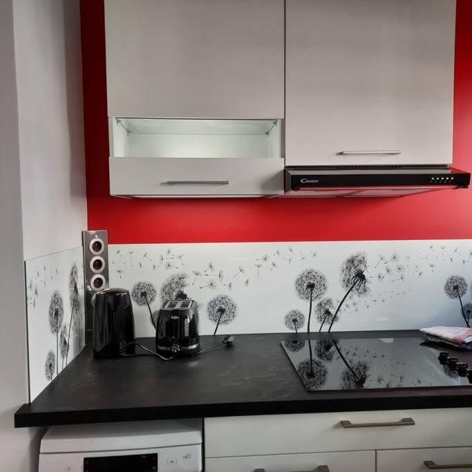 Apartmán 2 Lys Orleans Downtown, Free Secure Parking Exteriér fotografie